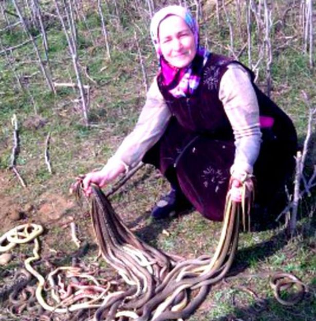O femeie planta cartofi atunci când un sunet bizar s-a auzit din pământ