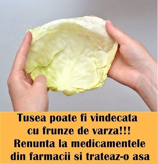 Tusea Poate Fi Vindecată Cu Frunze De Varză, Ușor Și Rapid. Dacă Cineva Dintre Membrii Familiei Mele Începe Să Tușească, Eu Nu Cumpăr Niciodată Medicamente De La Farmacie, Dar Îi Tratez Așa: