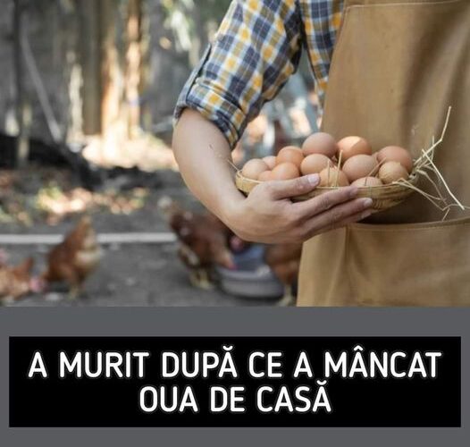 Un Bărbat A Murit După Ce A Mâncat Ouă De Țară. Ce Simptome A Avut